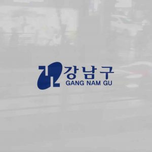 강남구